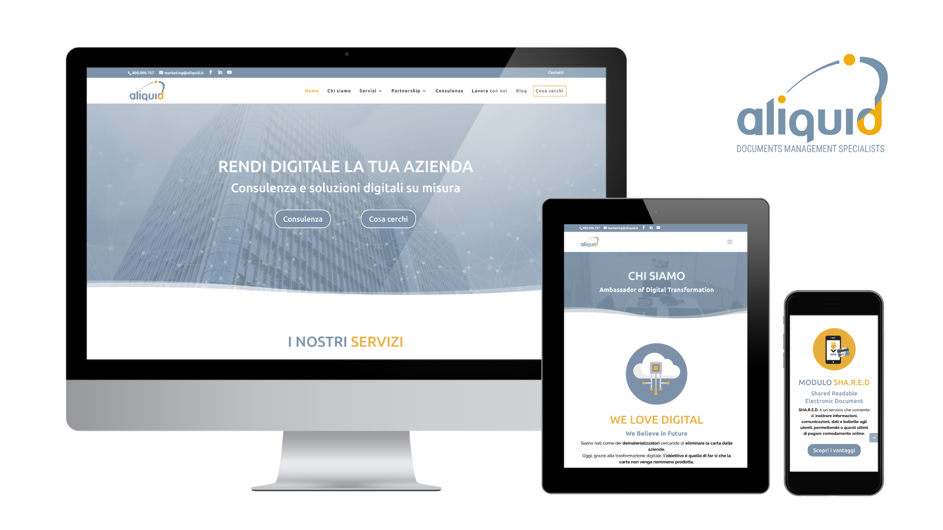 portfolio-aliquid